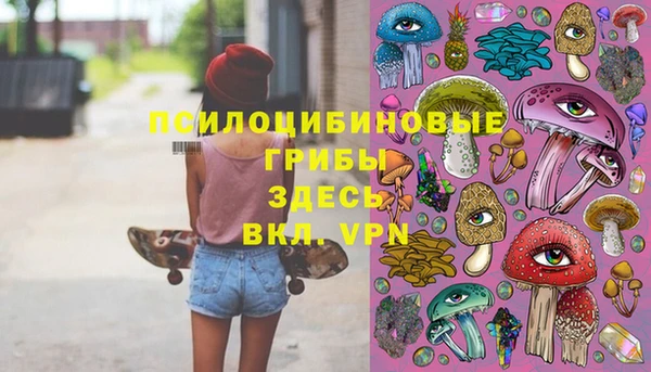 прущие грибы Аркадак