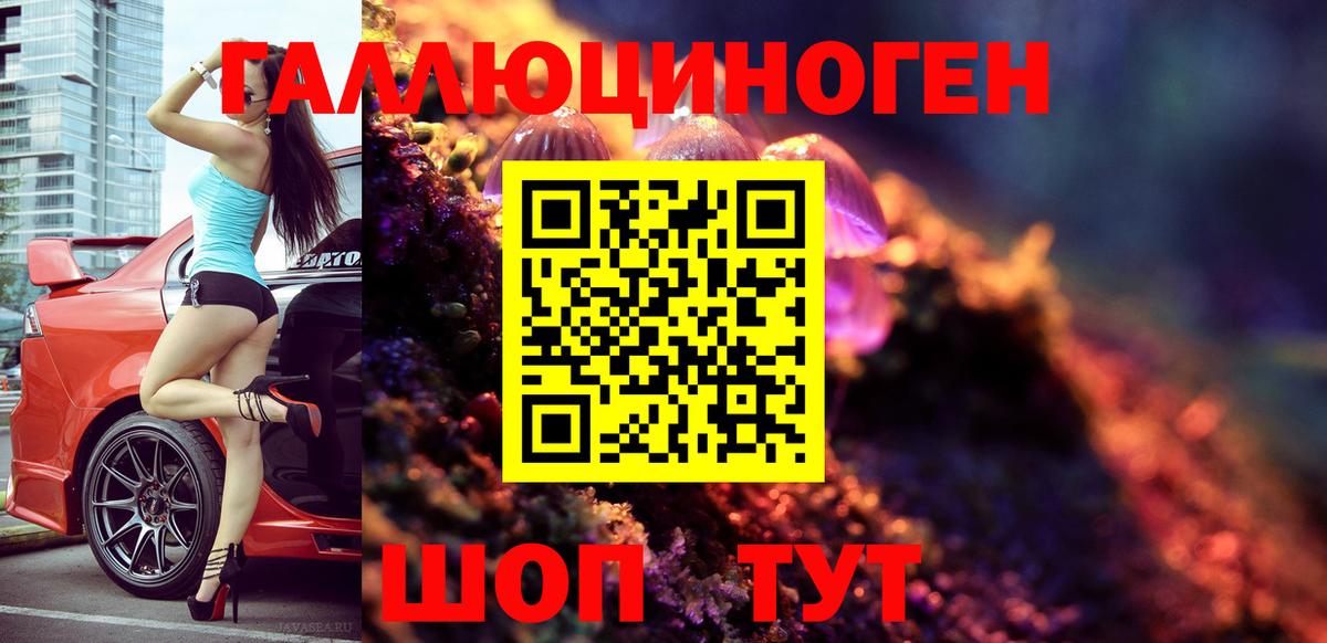 Псилоцибиновые грибы MAGIC MUSHROOMS  Вход с VPN  Карпинск 